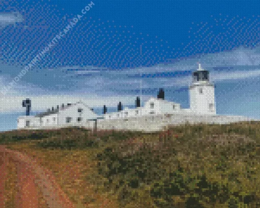 Lizard Lighthouse Diamond Painting