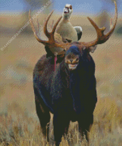 Moose and Goose Diamond Painting