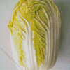 Napa Cabbage Diamond Painting