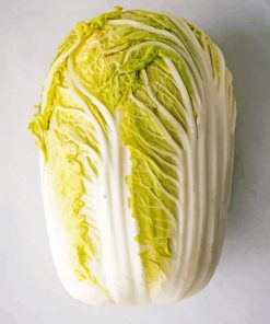 Napa Cabbage Diamond Painting