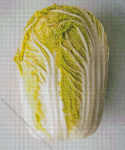 Napa Cabbage Diamond Painting