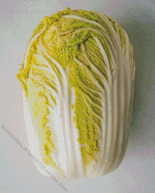 Napa Cabbage Diamond Painting