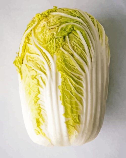 Napa Cabbage Diamond Painting