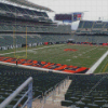 Paul Brown Stadium Of Ohio Diamond Painting