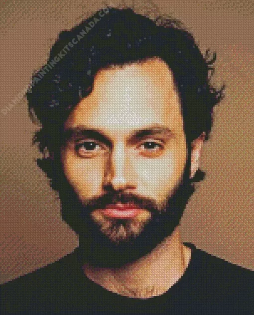 Penn Badgley Diamond Painting