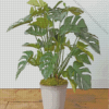 Philodendron Plant Pot Diamond Painting