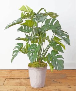 Philodendron Plant Pot Diamond Painting