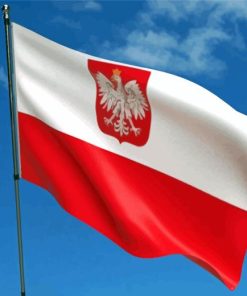 Poland Eagle Flag Diamond Painting