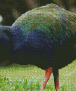 Takahe Diamond Painting