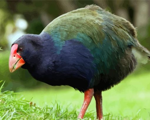 Takahe Diamond Painting