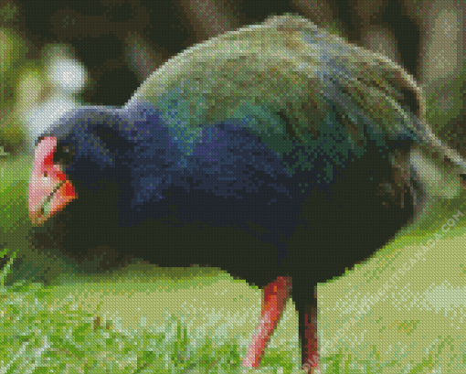 Takahe Diamond Painting