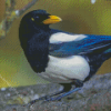 The Yellow Billed Magpie Bird Diamond Painting