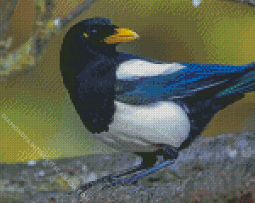 The Yellow Billed Magpie Bird Diamond Painting