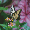 Tiger Swallowtail With Flowers Diamond Painting