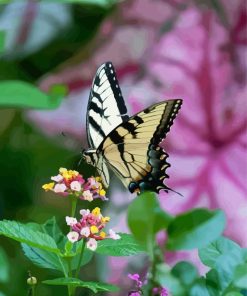 Tiger Swallowtail With Flowers Diamond Painting