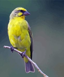 Yellow Canary on Stick Diamond Painting