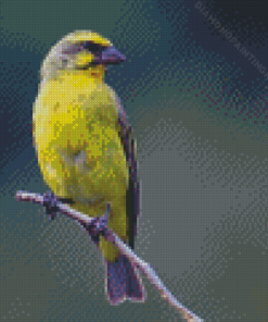 Yellow Canary on Stick Diamond Painting