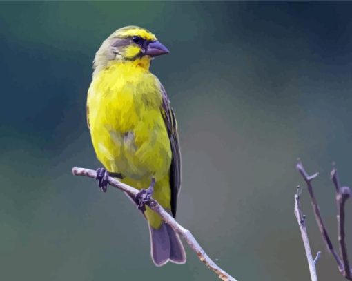 Yellow Canary on Stick Diamond Painting