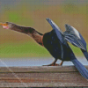 Anhinga Diamond Painting