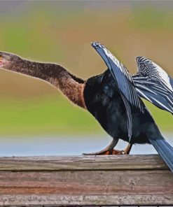 Anhinga Diamond Painting