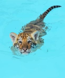 Baby Tiger In Pool Diamond Painting