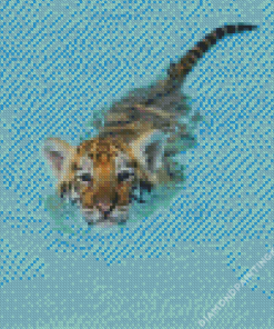 Baby Tiger In Pool Diamond Painting