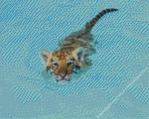 Baby Tiger In Pool Diamond Painting