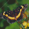 Butterfly With Yellow Flowers Diamond Painting