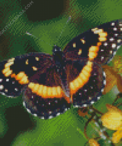 Butterfly With Yellow Flowers Diamond Painting