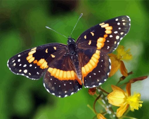 Butterfly With Yellow Flowers Diamond Painting