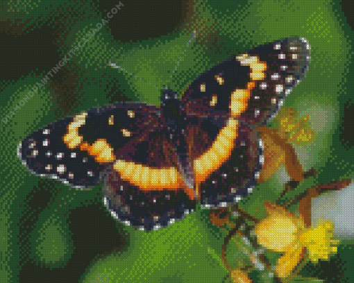 Butterfly With Yellow Flowers Diamond Painting