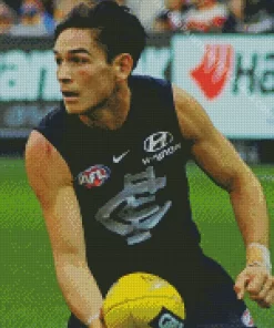 Carlton Football Diamond Painting