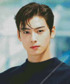 Cha Eun Woo Actor Diamond Painting