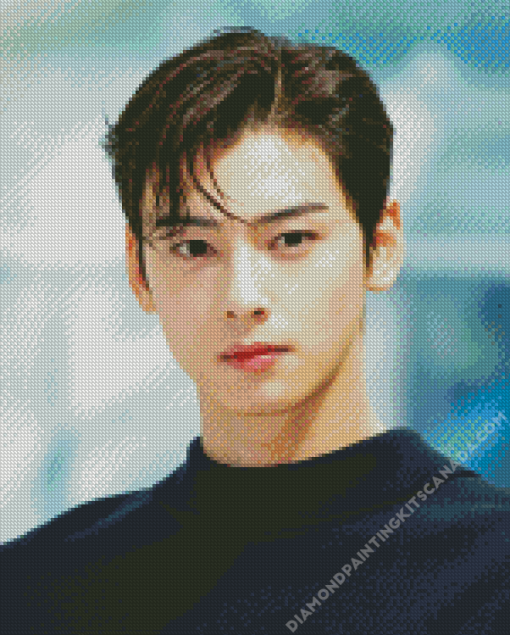 Cha Eun Woo Actor Diamond Painting