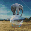 Elephant Balancing On A Bubble Ball Diamond Painting