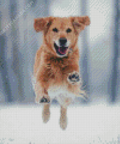 Golden Retriever In Snow Diamond Painting