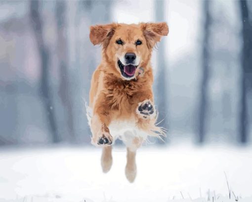 Golden Retriever In Snow Diamond Painting