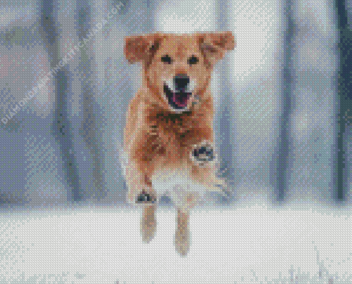 Golden Retriever In Snow Diamond Painting