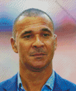 Gullit Dutch Former Footballer Diamond Painting