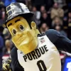 Purdue Boilermakers Diamond Painting