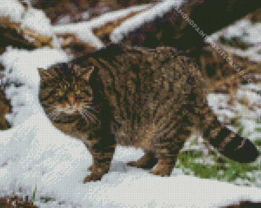 Scottish Wildcat Diamond Painting