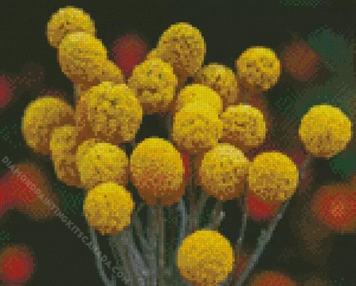 Billy Buttons Diamond Painting