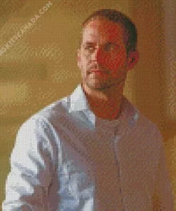 Brian O Conner Diamond Painting