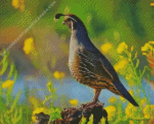 California Quail Diamond Painting