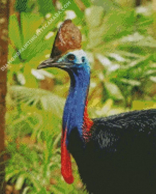 Cassowary Bird Diamond Painting