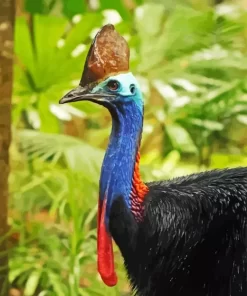 Cassowary Bird Diamond Painting