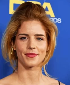 Canadian Emily Bett Rickards Diamond Painting