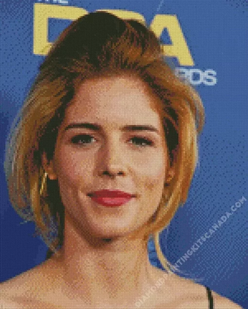 Canadian Emily Bett Rickards Diamond Painting