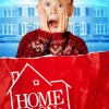 Home Alone Movie Poster Diamond Painting