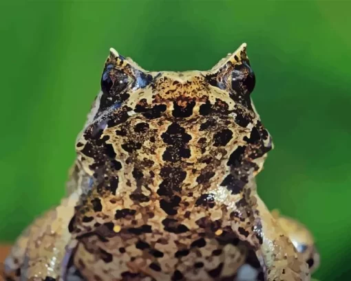 Horned Frog Diamond Painting